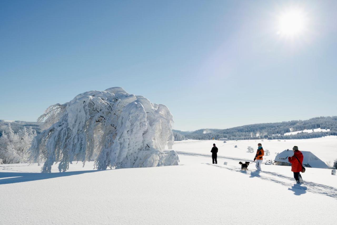 Berghaus Freiburg - Appartement Hotel Auf Dem Schauinsland โอเบอร์รีด ภายนอก รูปภาพ