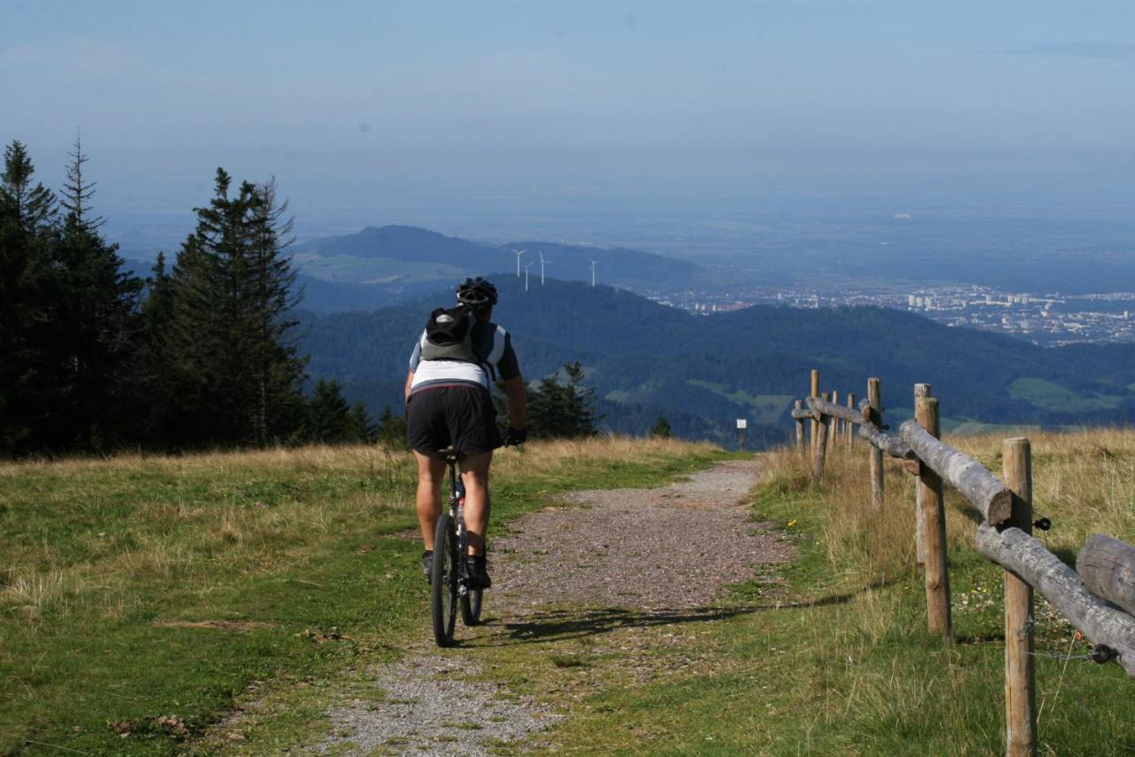 Berghaus Freiburg - Appartement Hotel Auf Dem Schauinsland โอเบอร์รีด ภายนอก รูปภาพ